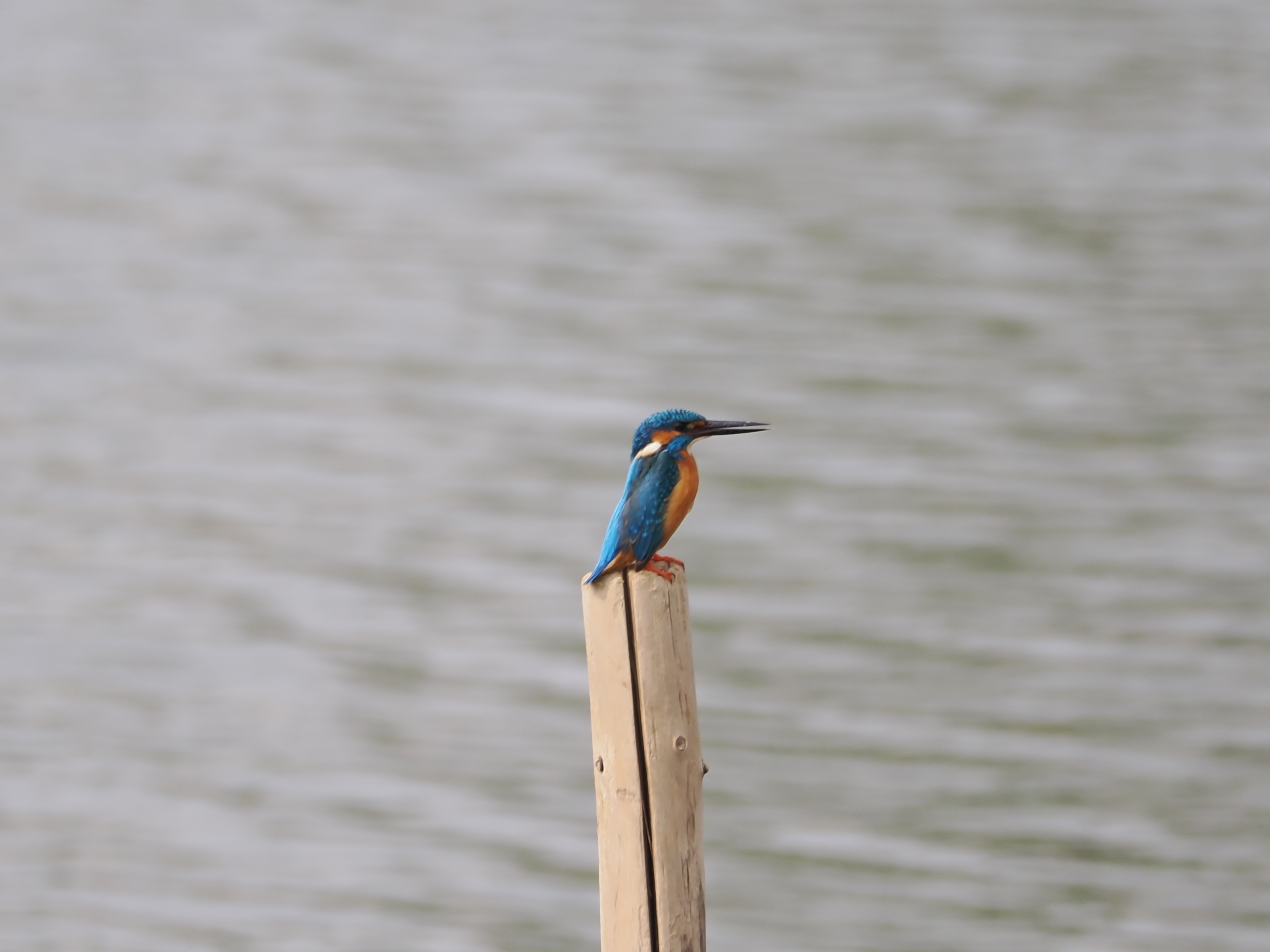 Group Image Gallery